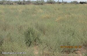 1st image of Xx 2 Rd #1191