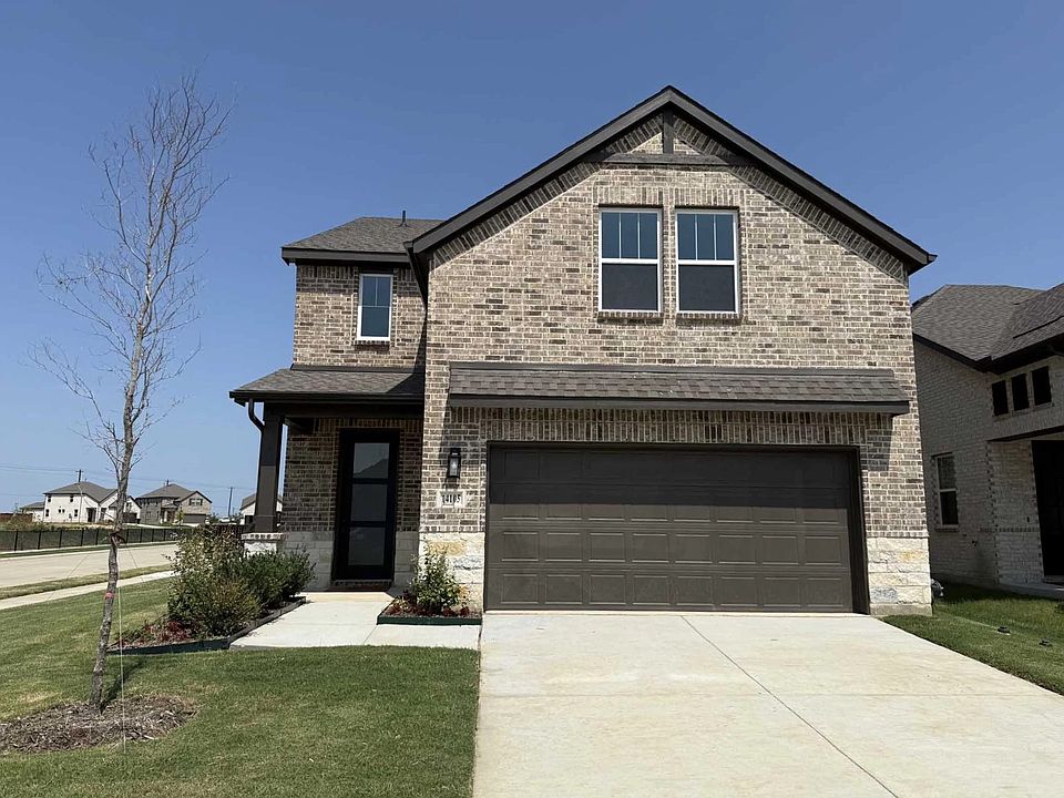 Exterior Design Construction Progress