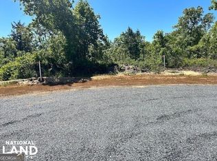 0 Georgia Rd TRACT 10, Butler, GA 31006