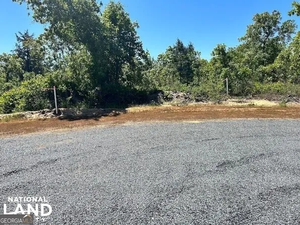 0 Georgia Rd Tract 10, Butler, GA 31006