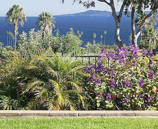 5th image of 1307 Cliff Dr