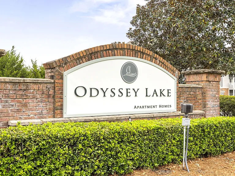 Odyssey Lake — Photo 47