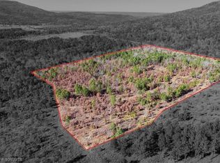 TRACT 6 Ogden Mills Trl, Wister, OK 74966