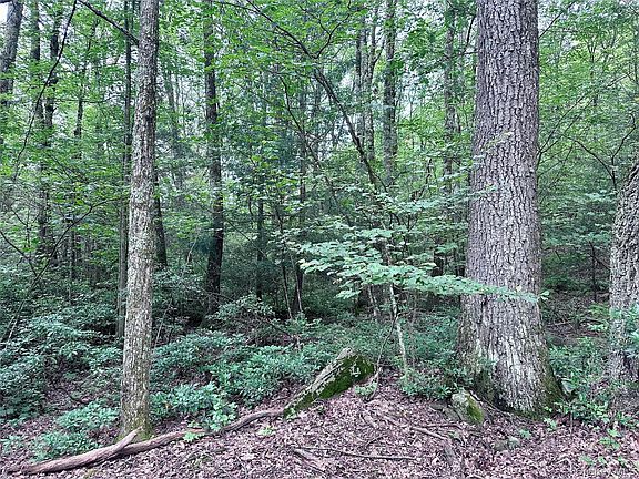 5th image of Lot 1 Upper Cherrytown