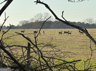 1098 Woodlawn Rd, Mansfield, GA 30055