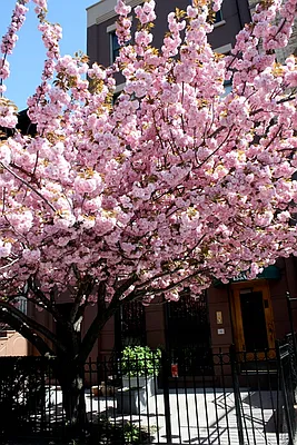 Sold by Corcoran | media 26