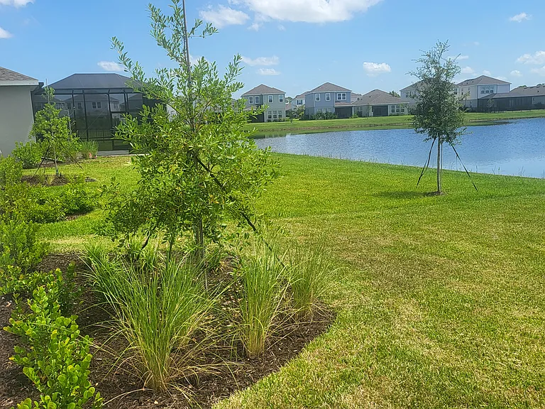 15076 Shady Palms Ln — Photo 8