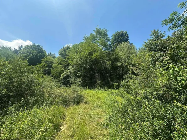 Kanes Creek Rd, Reedsville, WV 26547