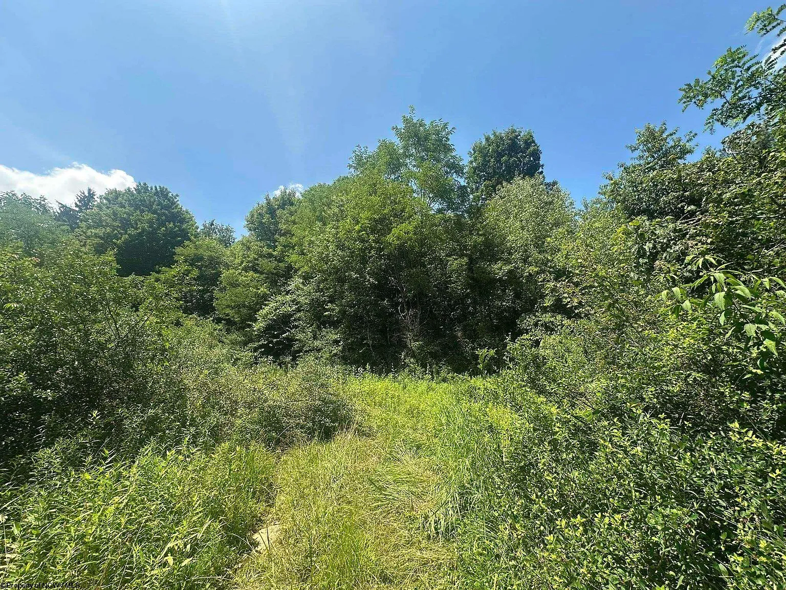 Kanes Creek Rd photo 1