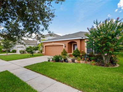 20268 Merry Oak Ave, Tampa, FL, 33647