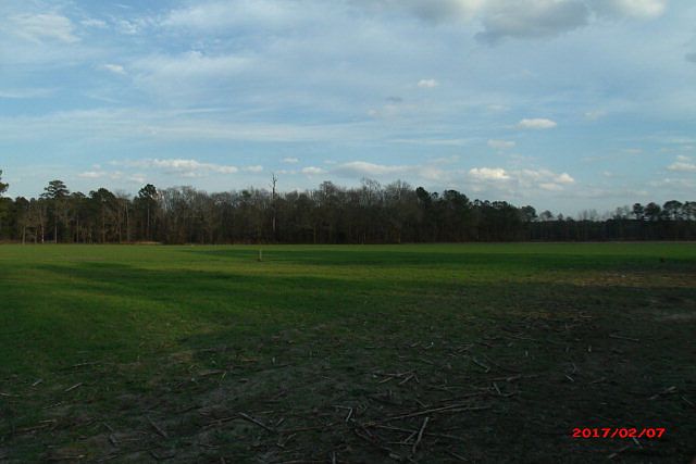 2nd image of 303 Rising Creek Rd