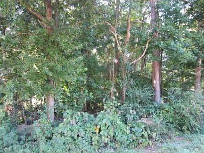 2nd image of 2060 Rockdale Cir