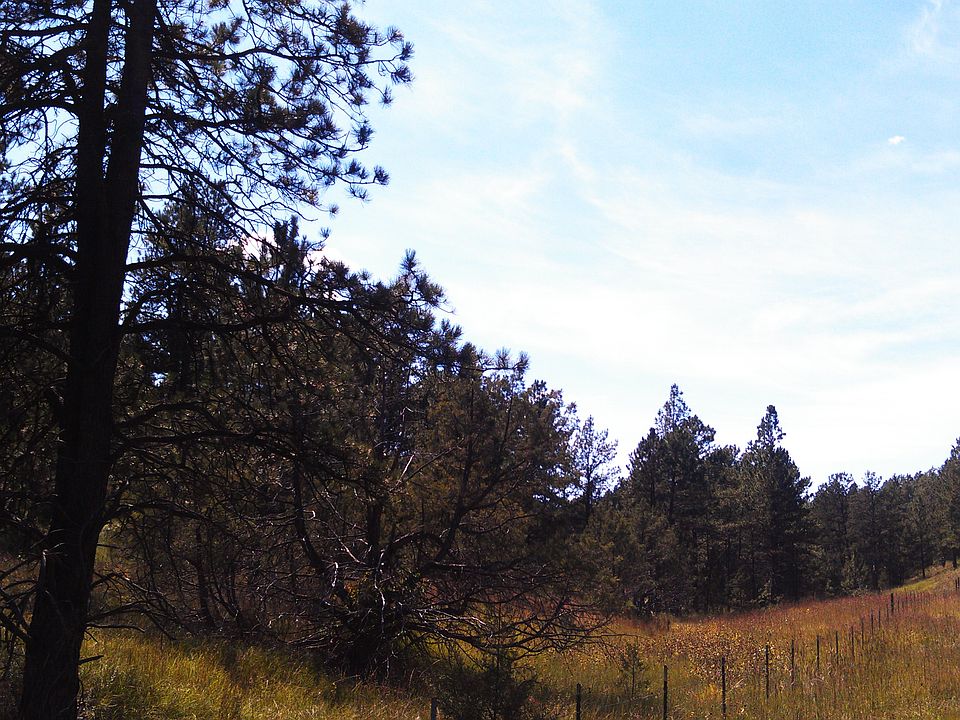 2nd image of 116 Cardinal Drive 2.2 Acres