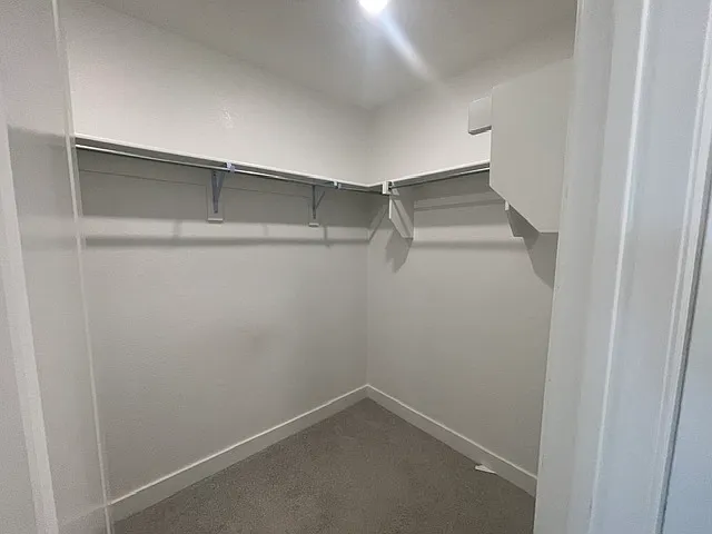 4317 Sanctuary Dr — Photo 14