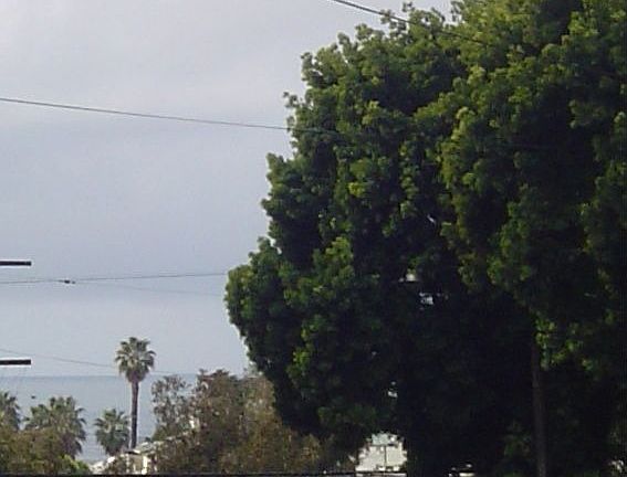 view of ocean from front corner of building