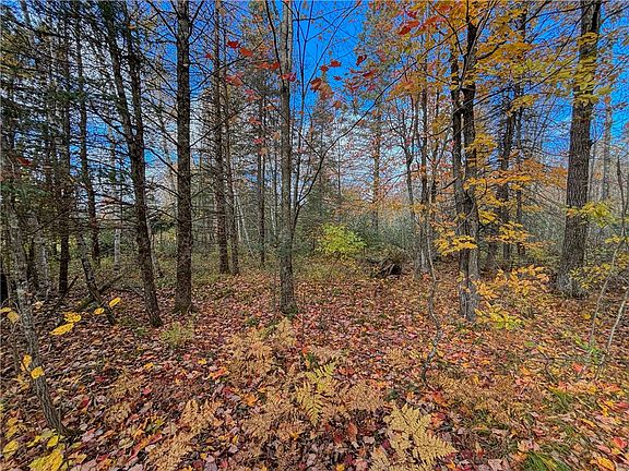 5th image of 887 N Stoney Hill Road