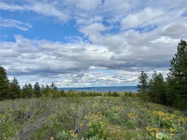 0 NHN Watson Lane, Chelan, WA 98816