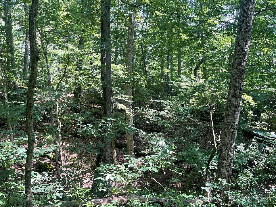 0 Wert Faulkner Hwy 0, Natural Bridge Station, VA 24579 Zillow