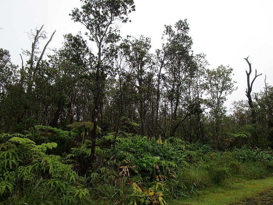1st image of Kanilehua Pl Lot 2092