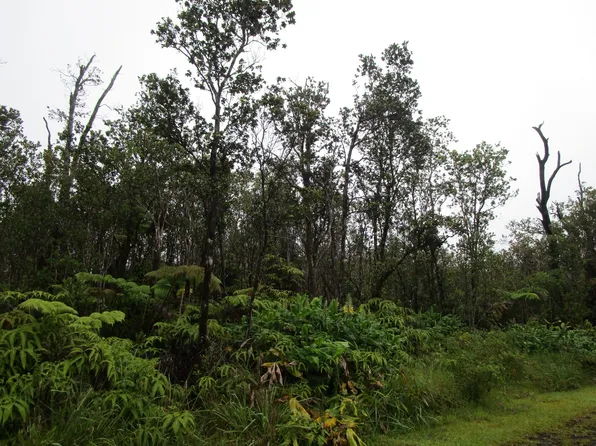 Kanilehua Pl Lot 2092, Volcano, HI 96785
