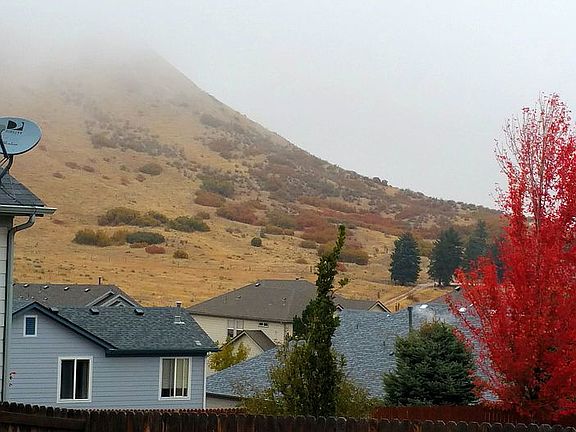 View Right from Backyard
