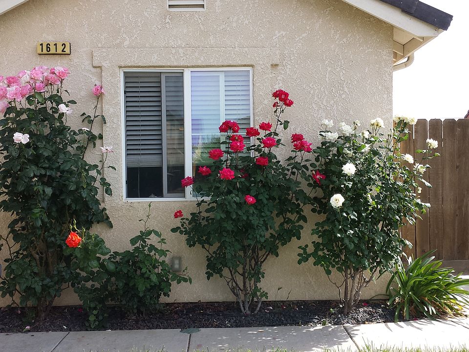 Front kitchen/dining window