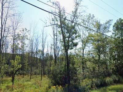 5591 Grant Hill Road, Voorheesville, NY, 12186