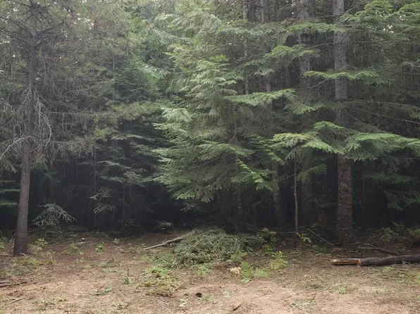 80 E Ridge Dr Tract 8, Saint Maries, ID 83861