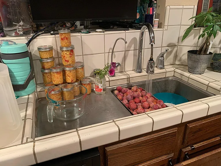 Canning in the kitchen sink with the fruit from the trees on the yard