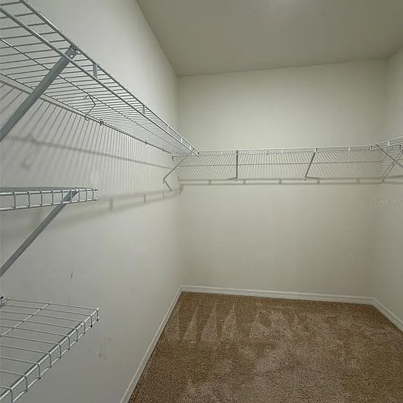 313 Sofia Ln — Photo 14