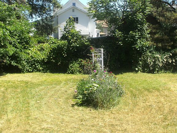 Back Yard In Summer!