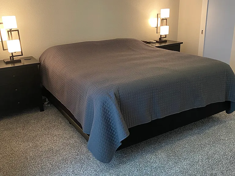 Master suite with walk-in closet behind barn door.