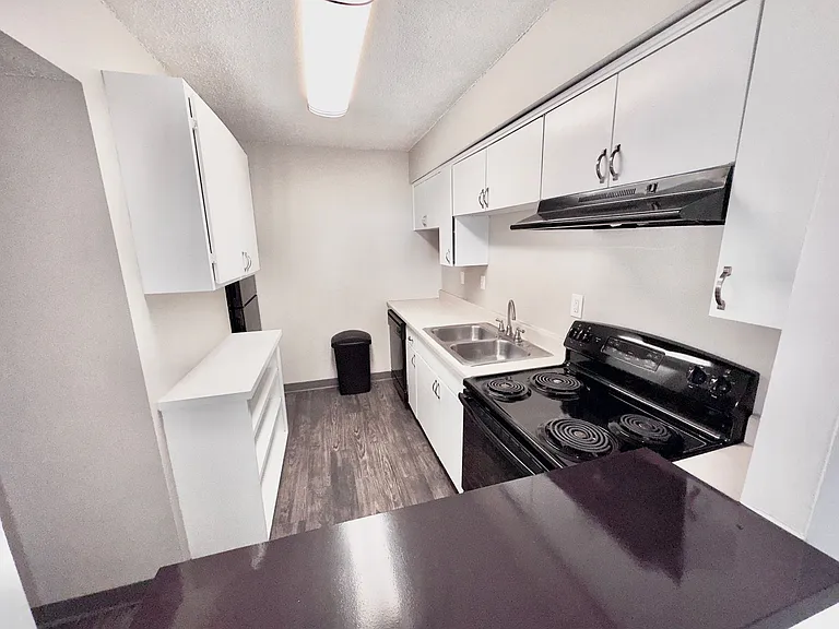 The Regency Apartments — Photo 135