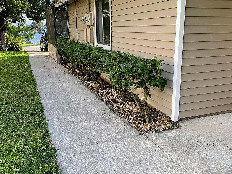 Walkway to front door