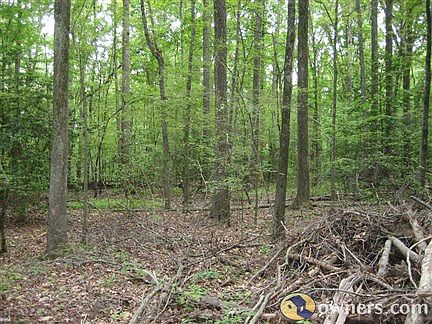 some clearing of trees has been done at the entrance