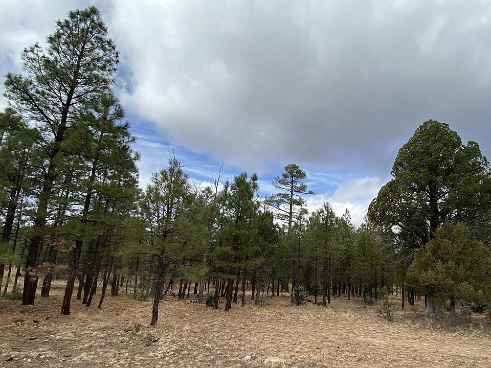 4395 Jack Pine Pl, Happy Jack, AZ 86024 Zillow