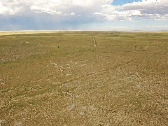 3rd image of LOT-84A Crr