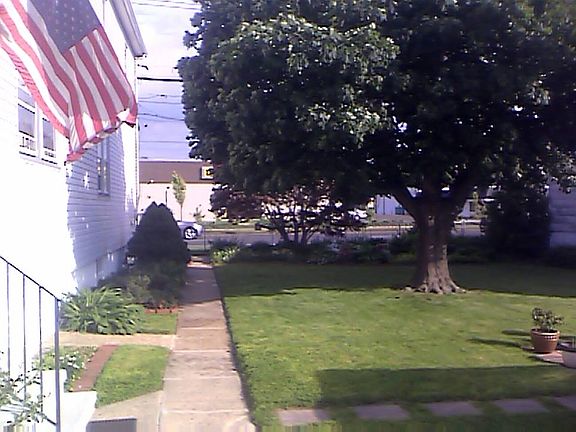 Back side house, yard, patio