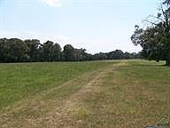 1st image of CR 1409
