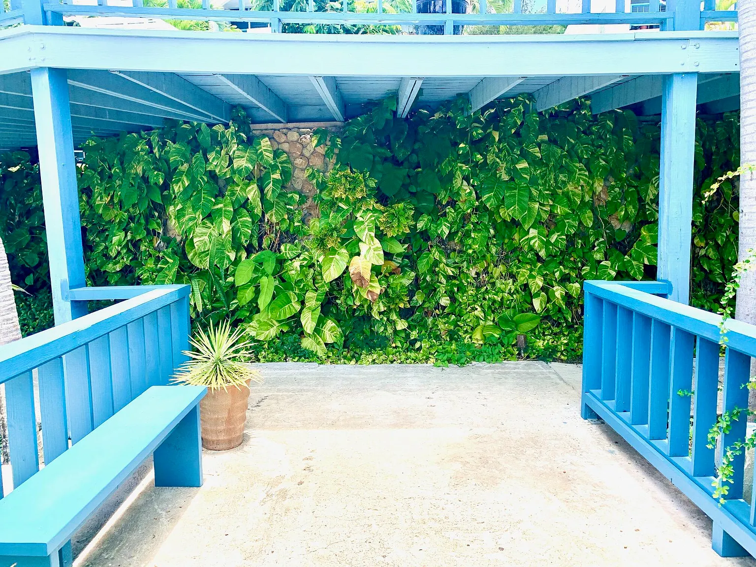 1 bed, $1,500 — Photo 3