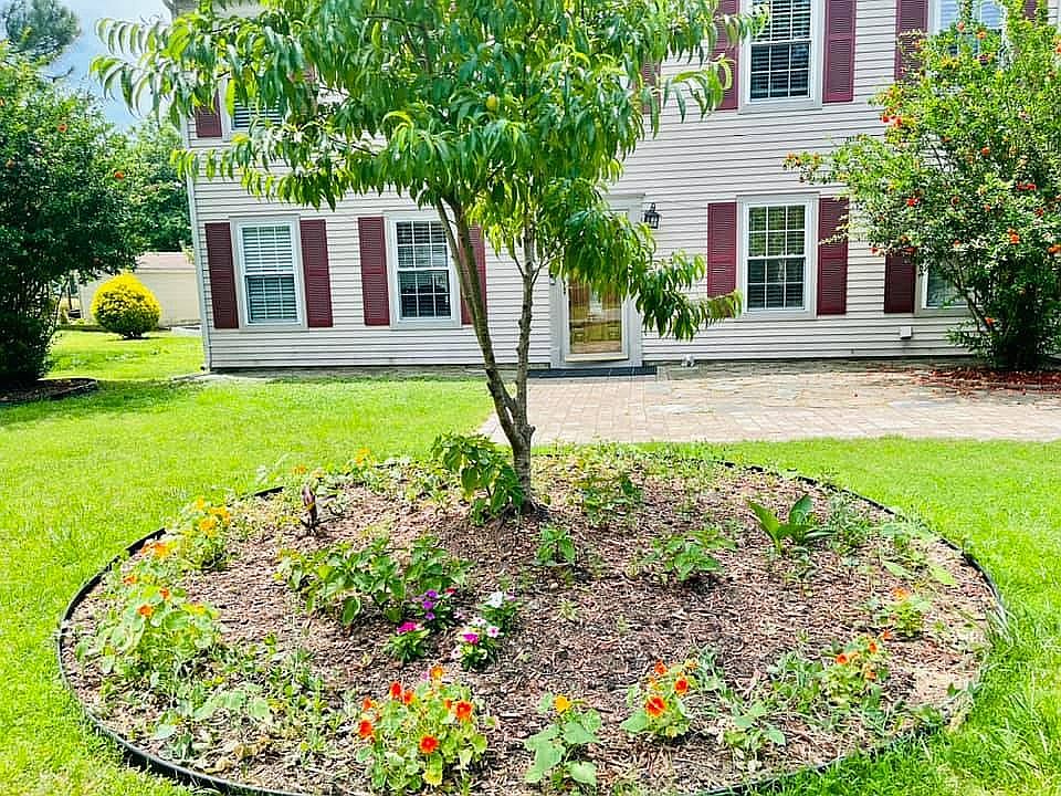 1st image of 225 Susan Newton Ln