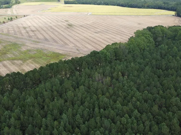 0 McNeill Hobbs Rd, Bunnlevel, NC 28323