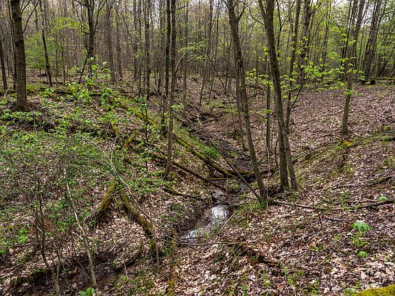3rd image of 0 Huefner Spring Rd