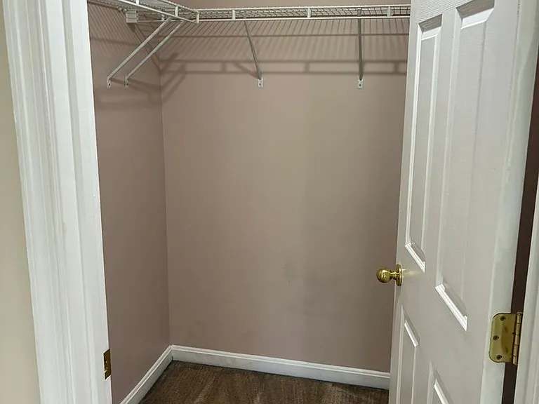 10164 Tree Frog Pl — Photo 5