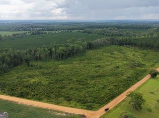 0 Watson & Hendricks Roads TRACT 2, Metter, GA 30439