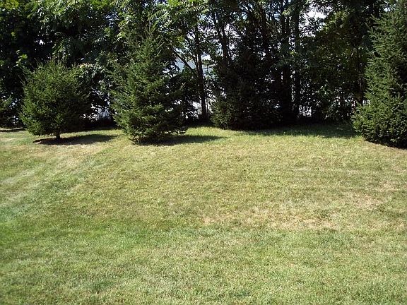 3rd image of 148 Sequoia Ct