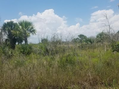 - NW 316th Street, Okeechobee, FL, 34972