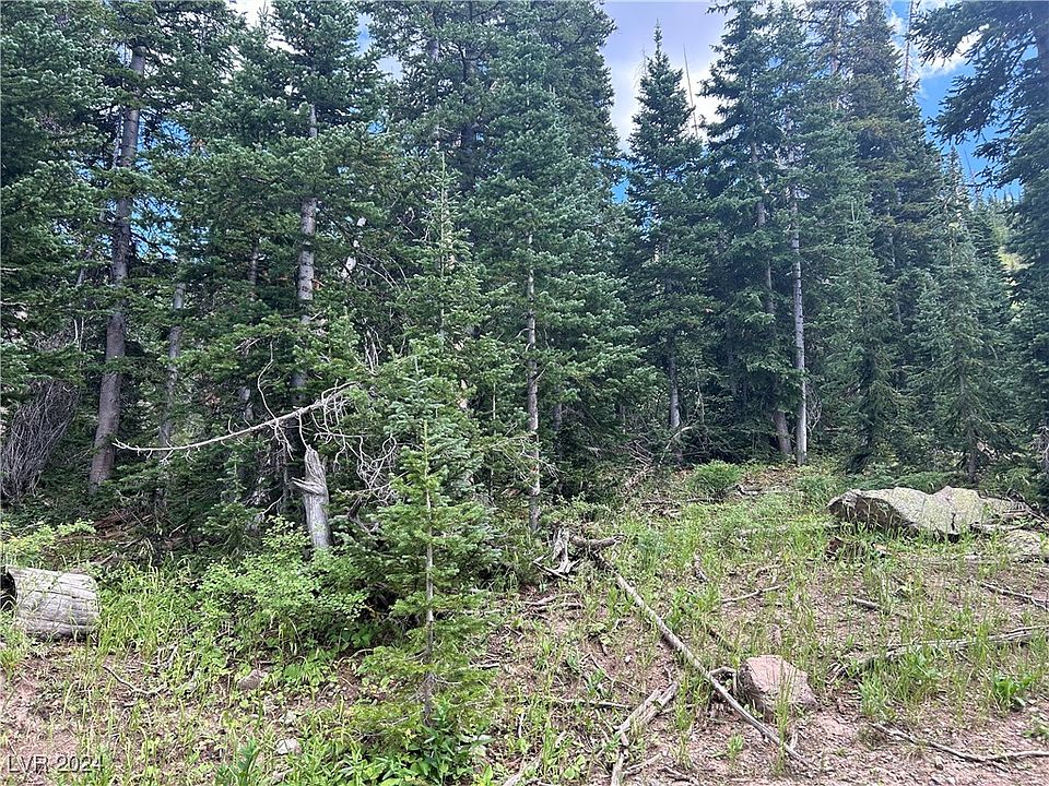 2nd image of 563 Park U Pine Walk