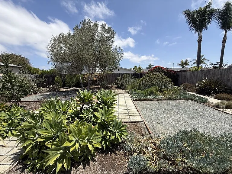 Backyard garden