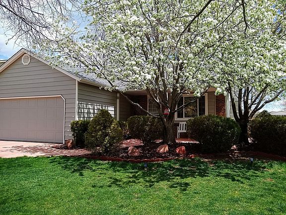 Crabapple Trees in Bloom